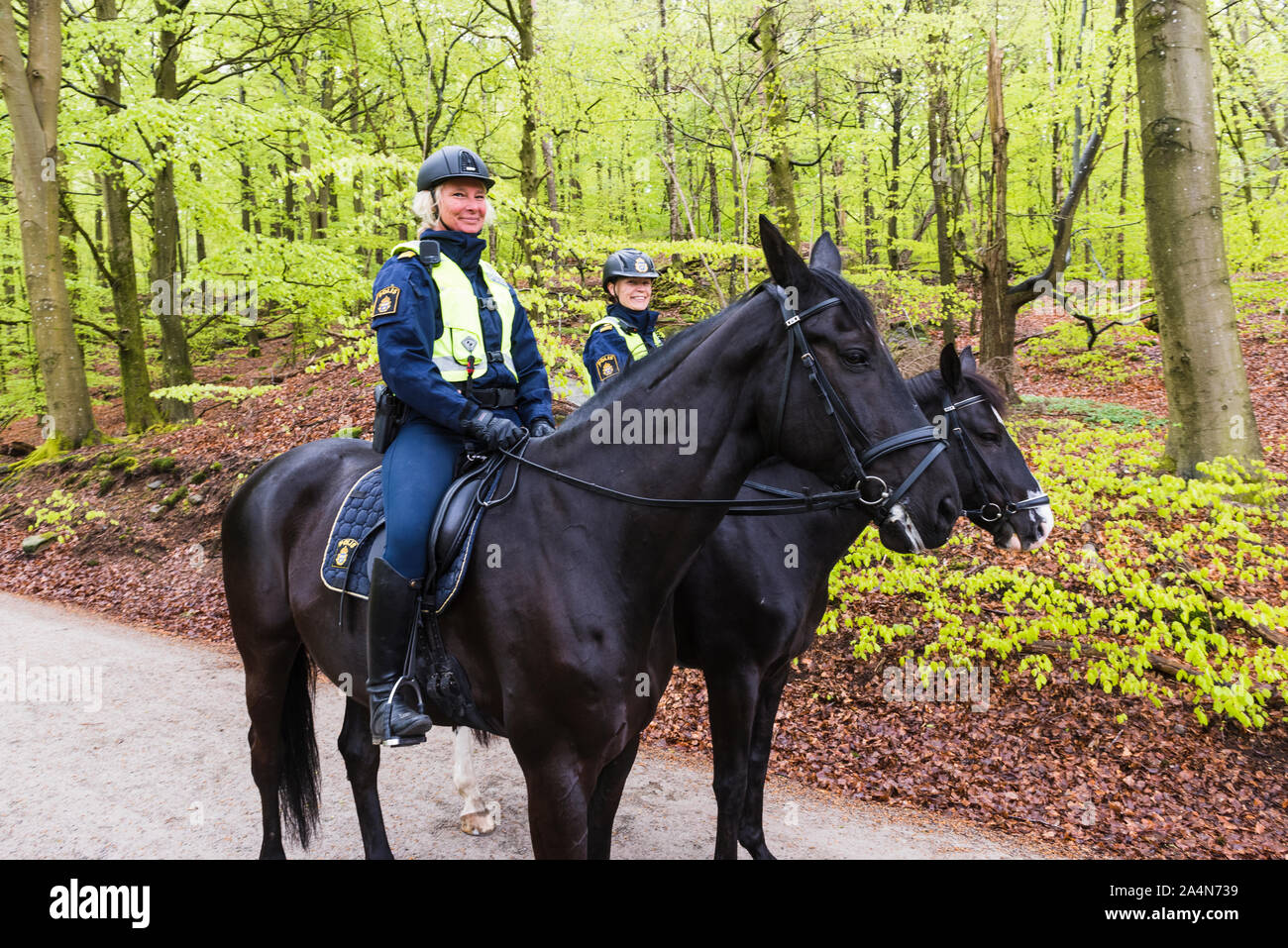 La Police à cheval en forêt Banque D'Images