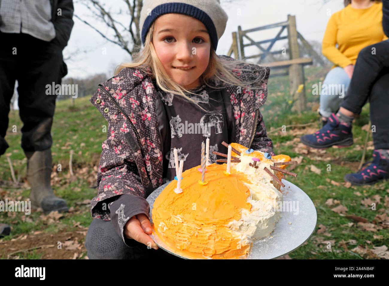 Petite fille de 6 ans tenant son chat orange gingembre gâteau célébrant son anniversaire party outdoors extérieur au pays de Galles UK KATHY DEWITT Banque D'Images
