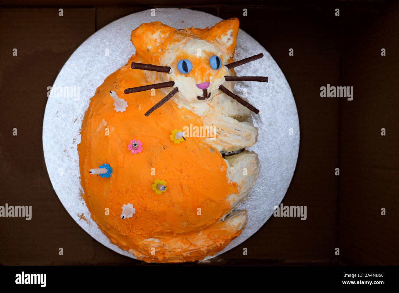 Chat orange gingembre cake a little girl's Birthday party in Wales UK KATHY DEWITT Banque D'Images