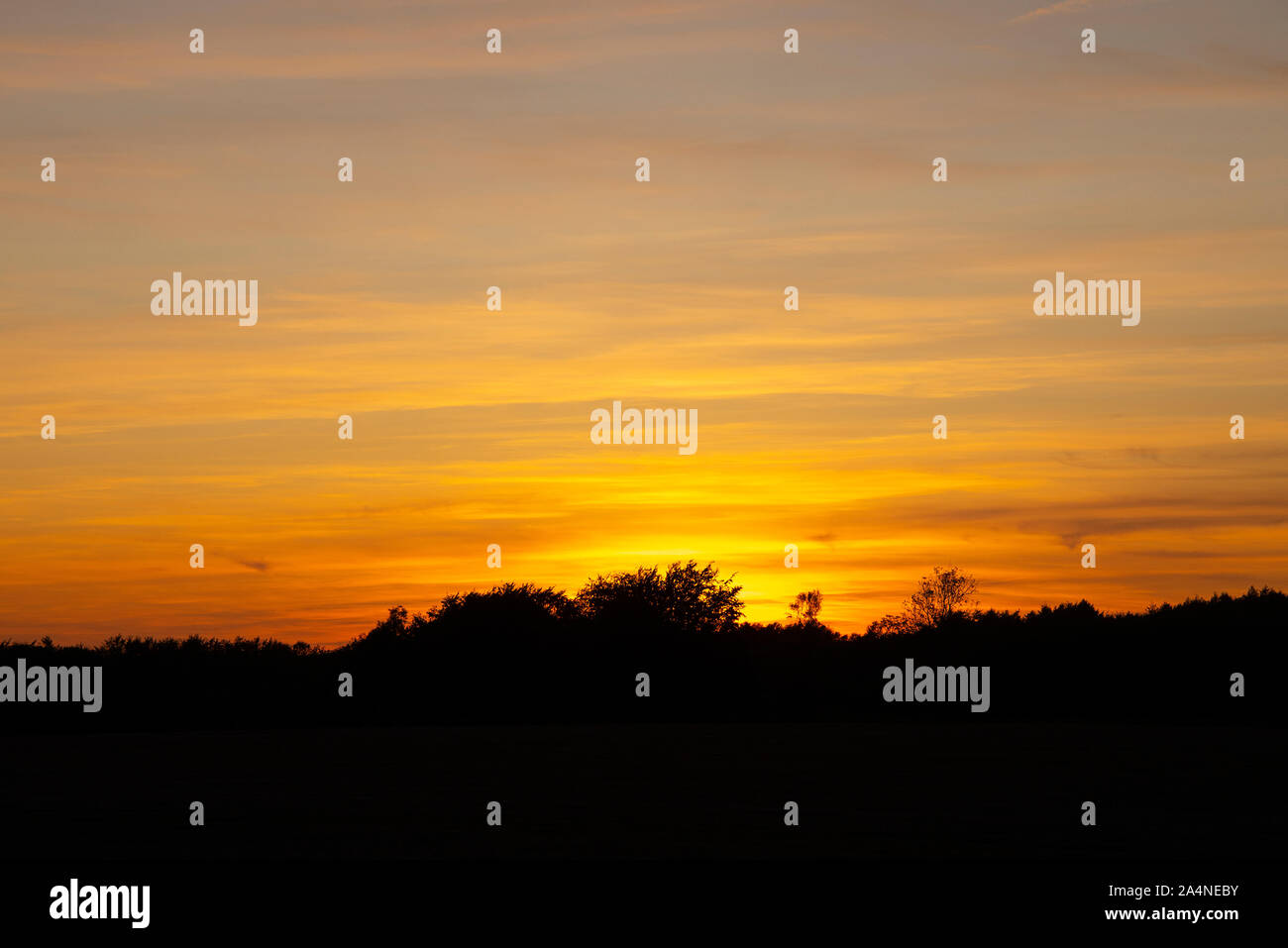 Un beau coucher de soleil orange sur Farm Land and Woodland à Sawdon North Yorkshire Angleterre Royaume-Uni Banque D'Images