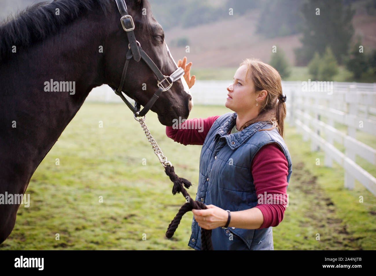Jeune femme debout dans un enclos avec son cheval. Banque D'Images
