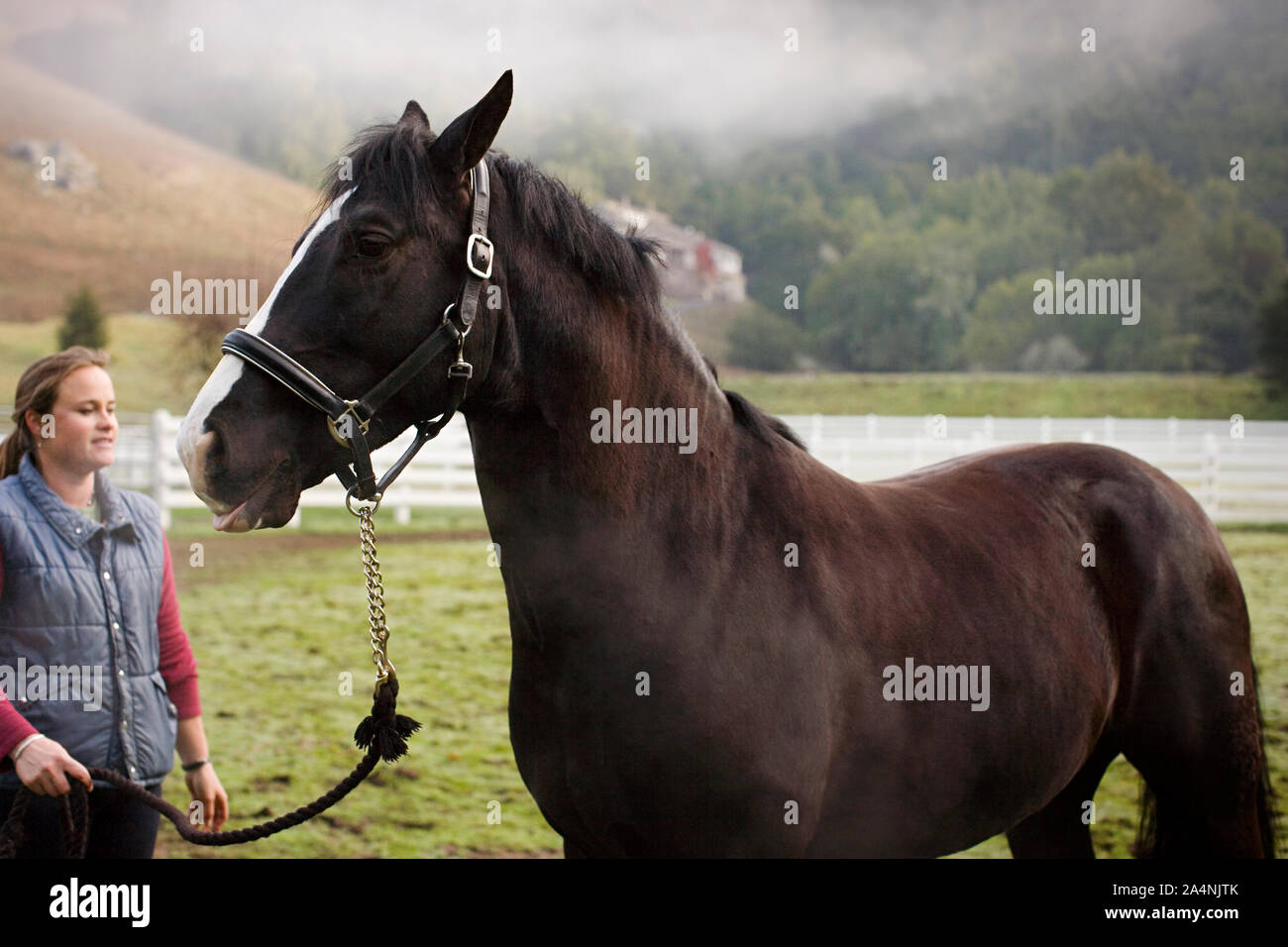 Jeune femme debout dans un enclos avec son cheval. Banque D'Images