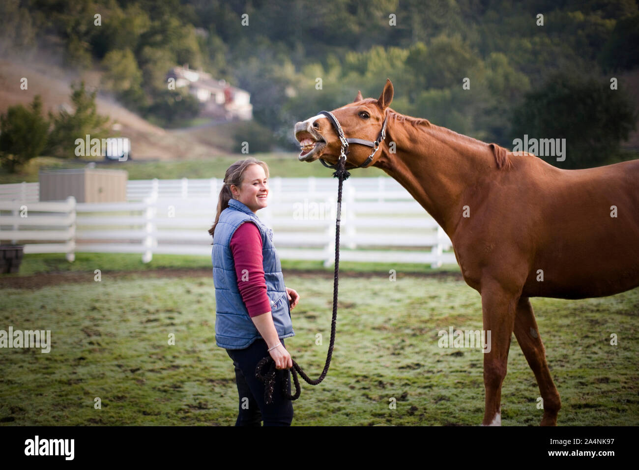 Jeune femme debout avec son cheval brun à l'extérieur dans un enclos. Banque D'Images