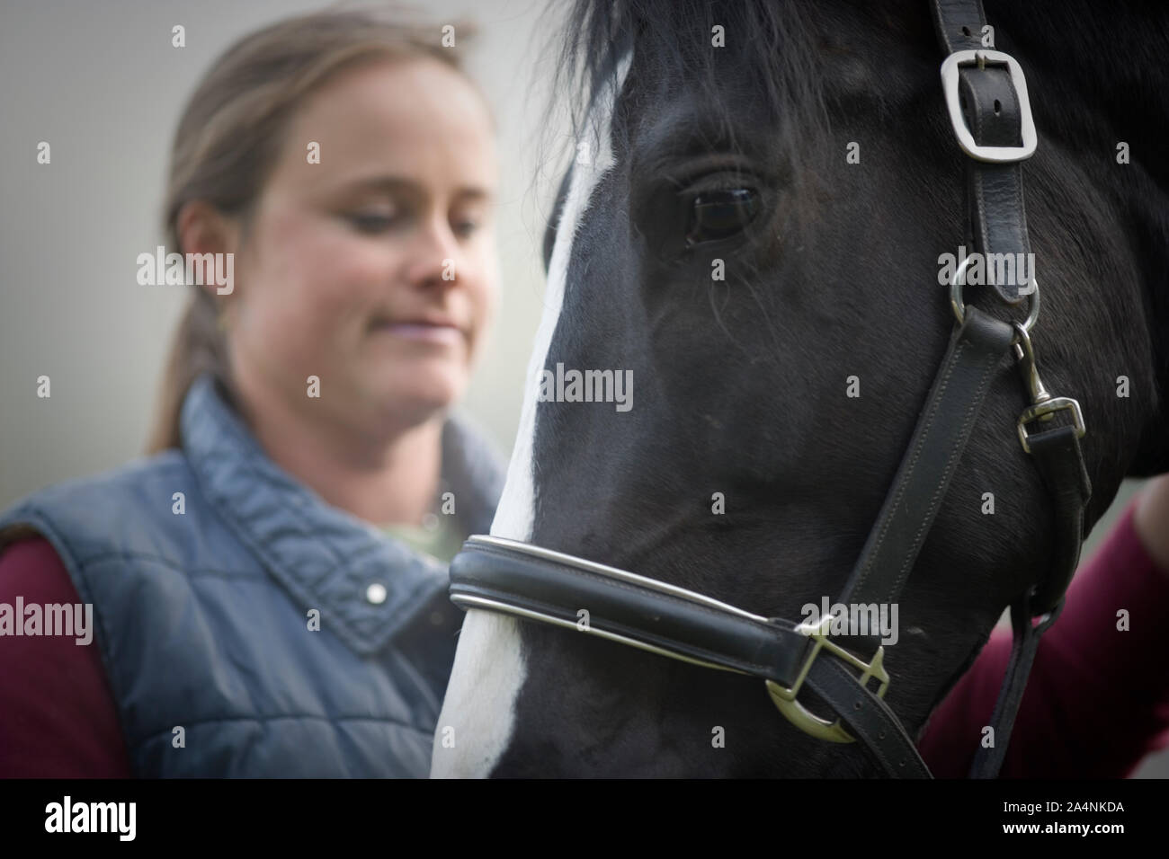 Cheval Noir debout devant une jeune femme. Banque D'Images