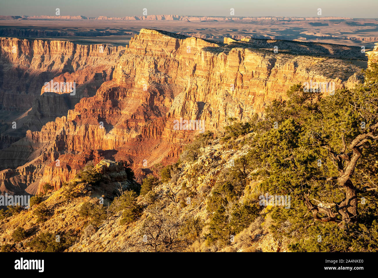 Les murs de canyon de Desert View, donnent sur le Parc National du Grand Canyon, Arizona USA Banque D'Images