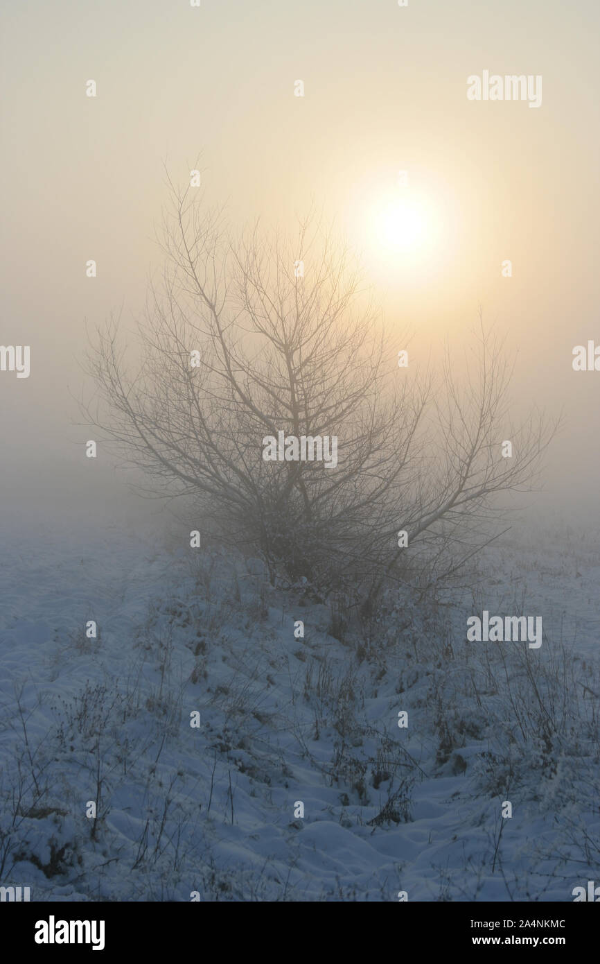 Le soleil perce la brume sur une froide journée d'hiver en Transylvanie, Roumanie Banque D'Images