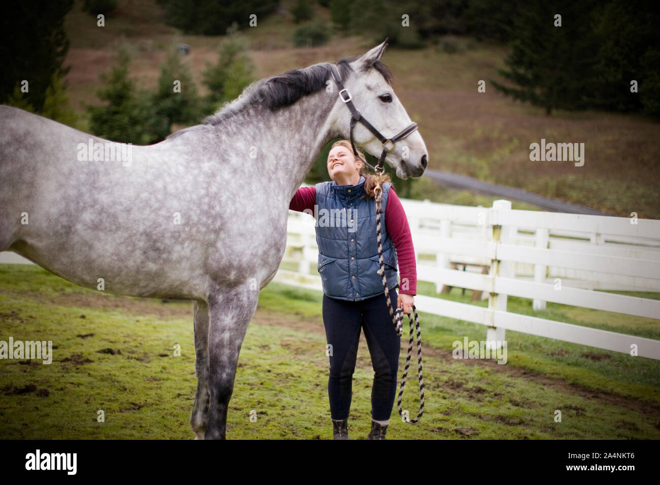 Jeune femme debout avec son cheval gris dans un enclos. Banque D'Images
