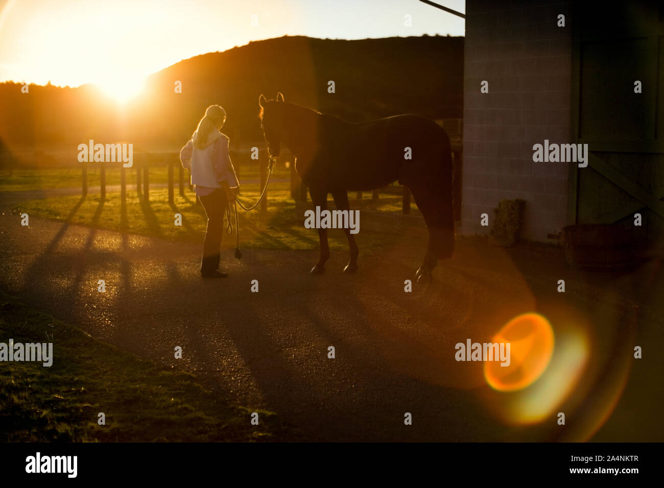 Jeune adulte femme debout avec un cheval au coucher du soleil. Banque D'Images