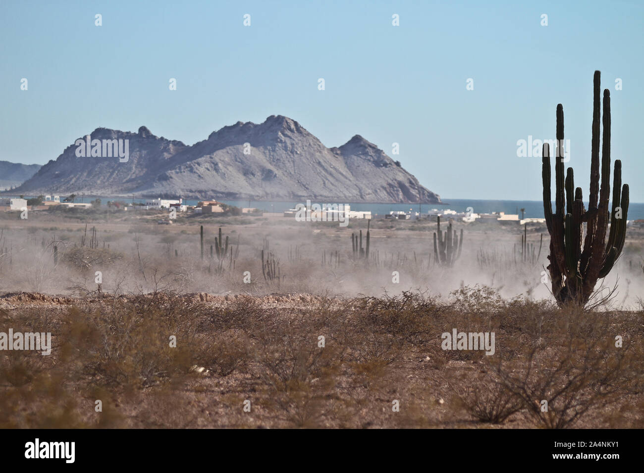 Desierto costero y la zona marítima de la Bahía de Kino, en el Mar llamado Mar Cortez, Sonora, Mexique..Le désert côtier et la zone maritime de Kino Bay en t Banque D'Images