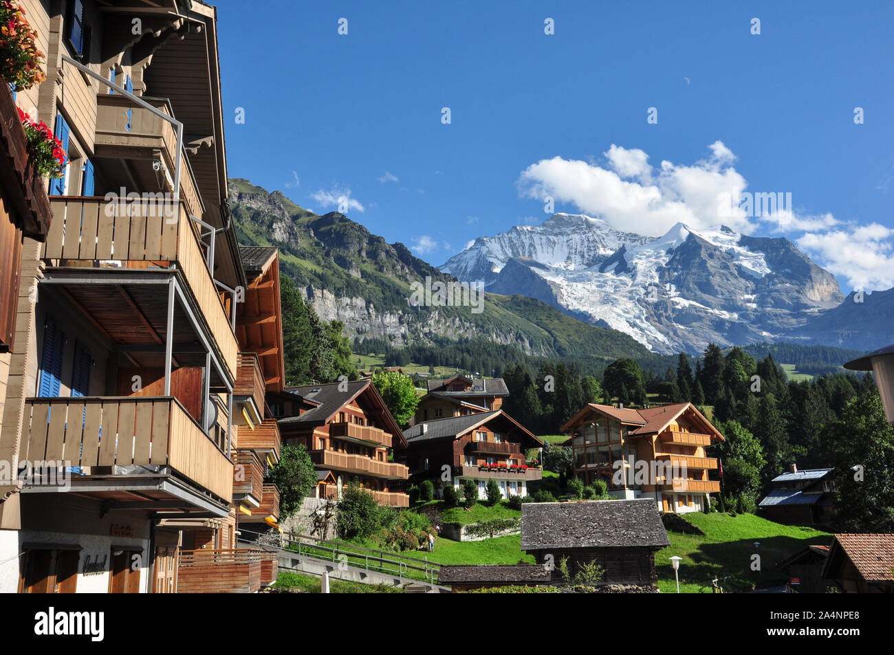 Village chalets avec Jungfrau en arrière-plan, Wengen, Oberland Bernois, Suisse Banque D'Images