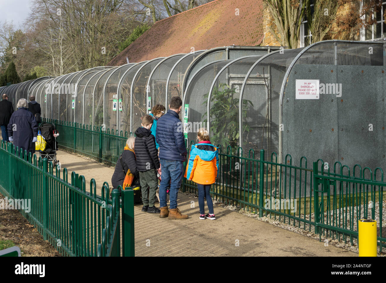 Les visiteurs qui cherchent à les volières, The Birdcage Walk, Abington, Northampton, Royaume-Uni Banque D'Images