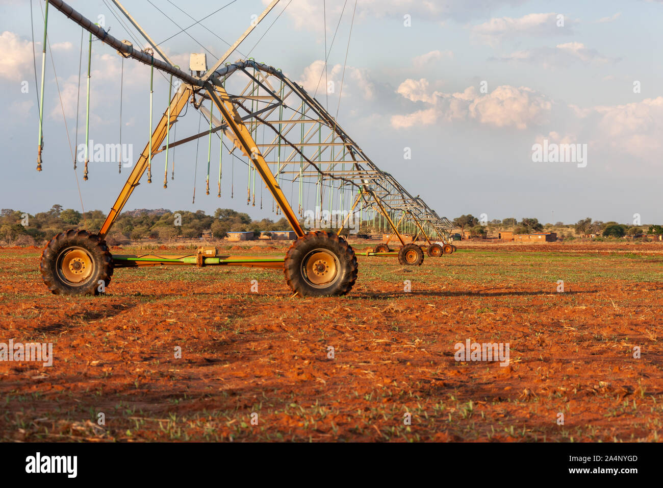 Grandes cultures irriguées en Afrique du Sud et le Botswana, l'agriculture industrielle Banque D'Images