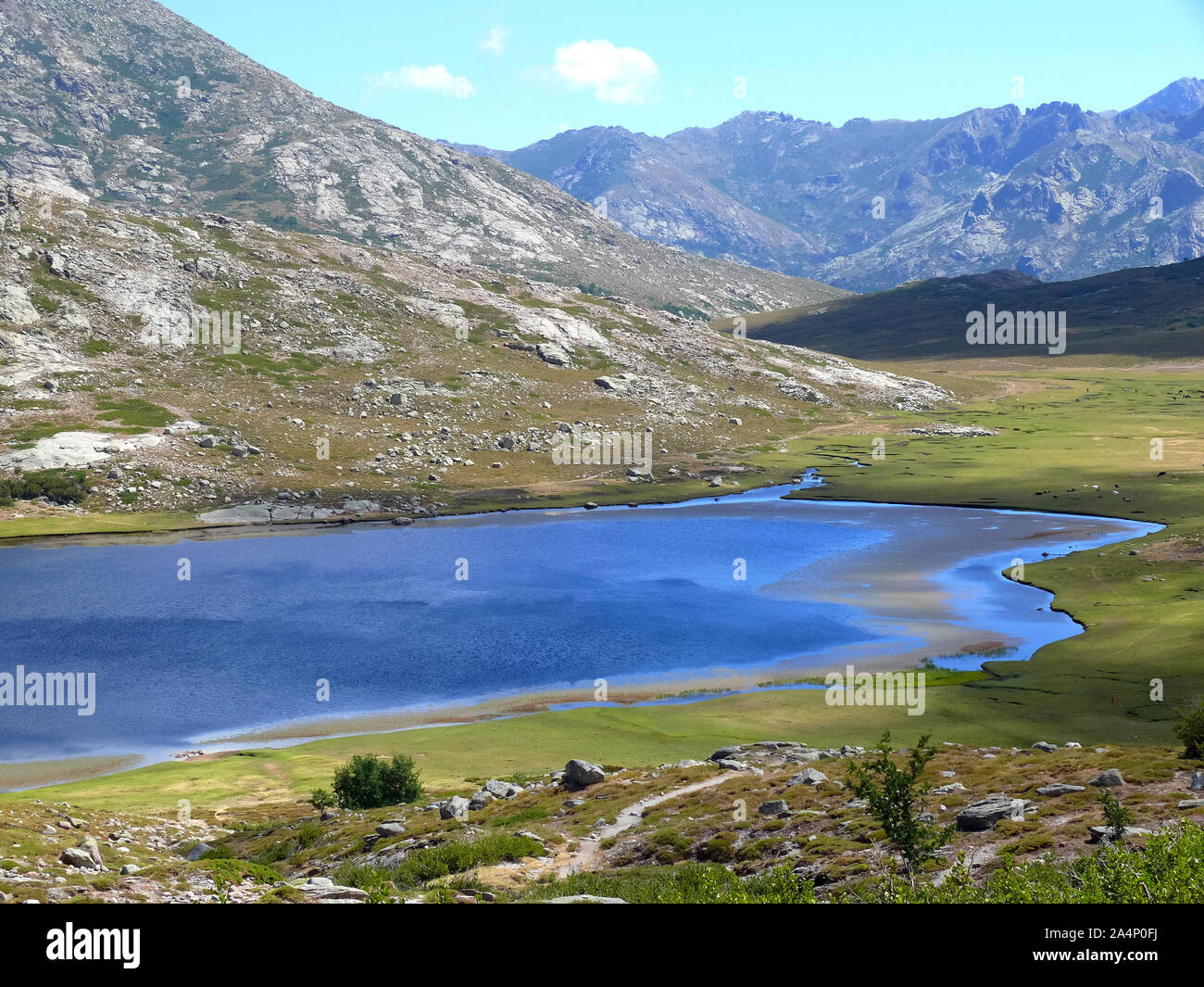 Lac De Nino, Lac Nino, Corse, France, Europe Banque D'Images