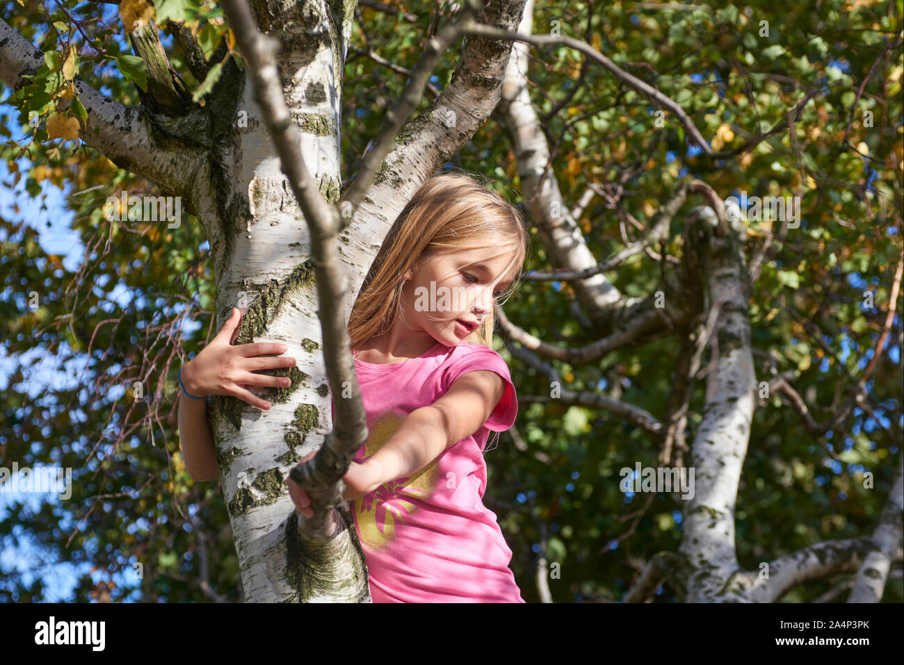 Enfant brave adorable fille grimpant sur l'arbre Banque D'Images