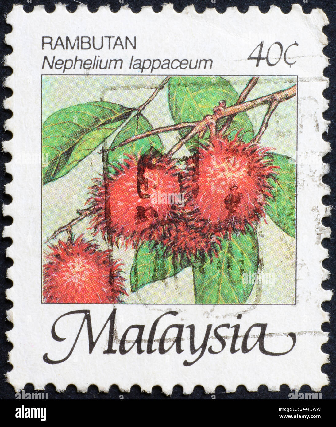 Rambutan fruit sur timbre-poste de la Malaisie Banque D'Images