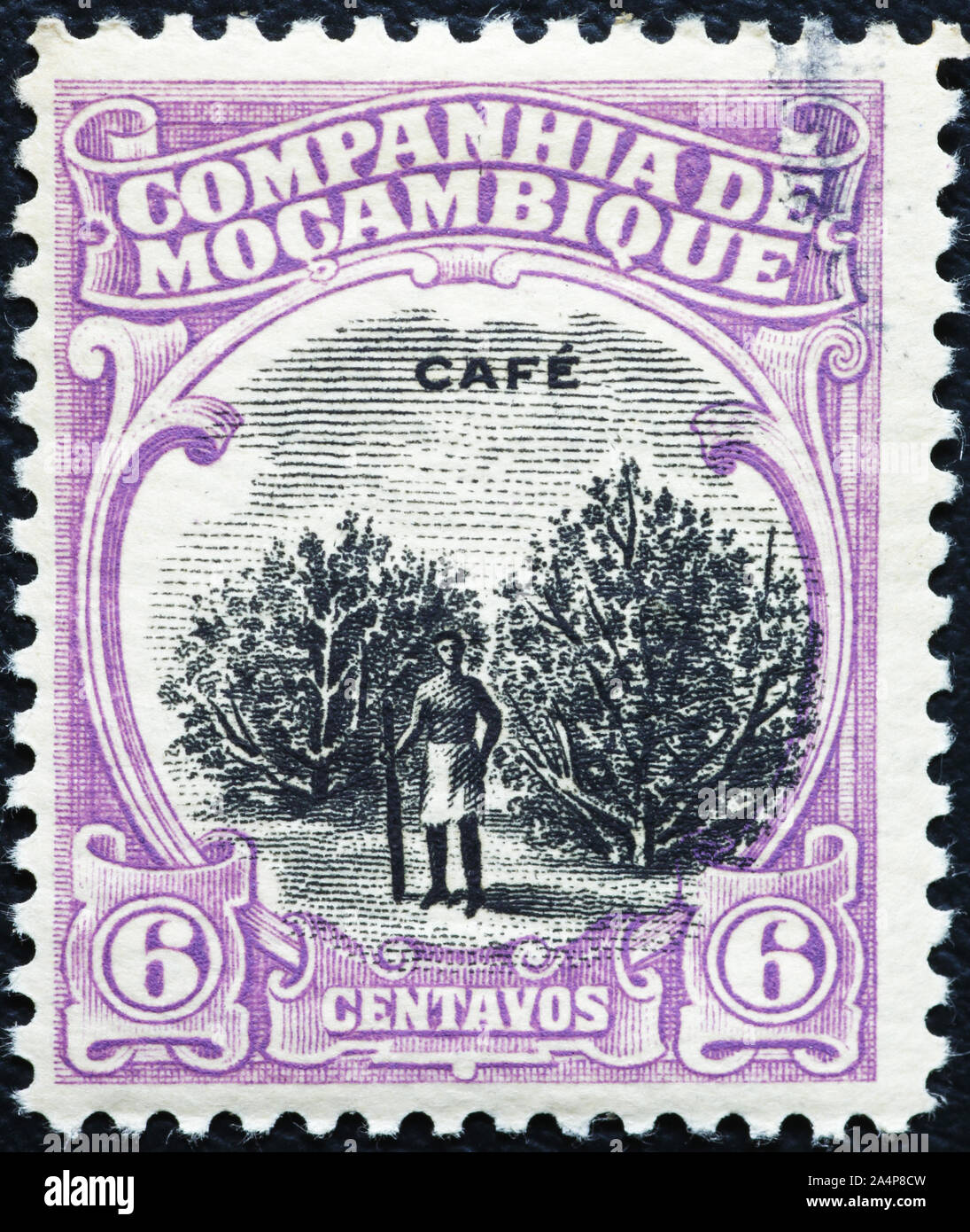 Les plantations de café sur les vieux timbre de Mozambique Banque D'Images