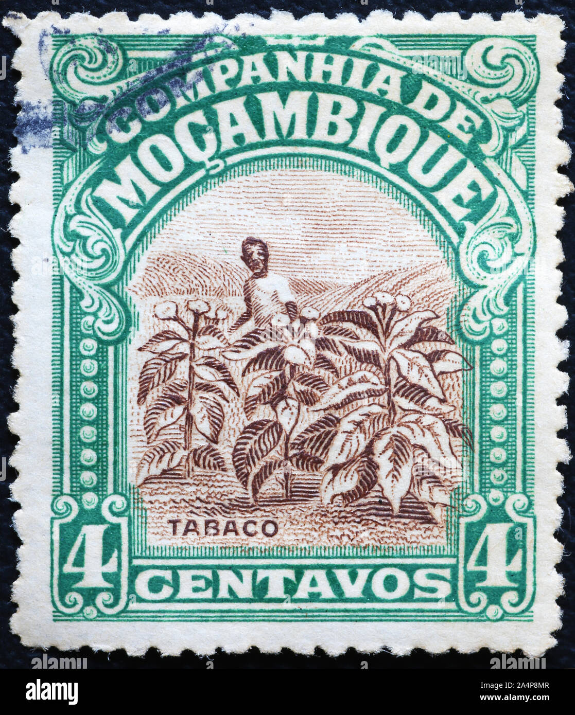 Plantation de tabac sur les vieux timbre de Mozambique Banque D'Images