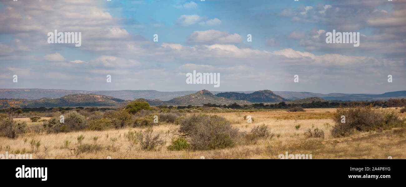 Paysage typique des terrains semi-arides de l'Afrique australe au Botswana Banque D'Images