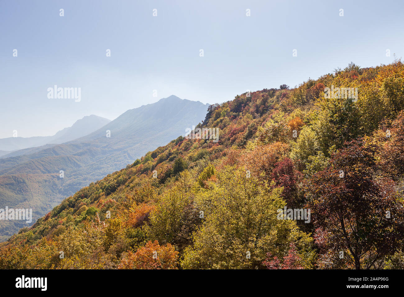 Montagne couverte de forêts aux couleurs de l'automne des arbres et distant, impressionnant, silhouettes pointues des sommets Banque D'Images