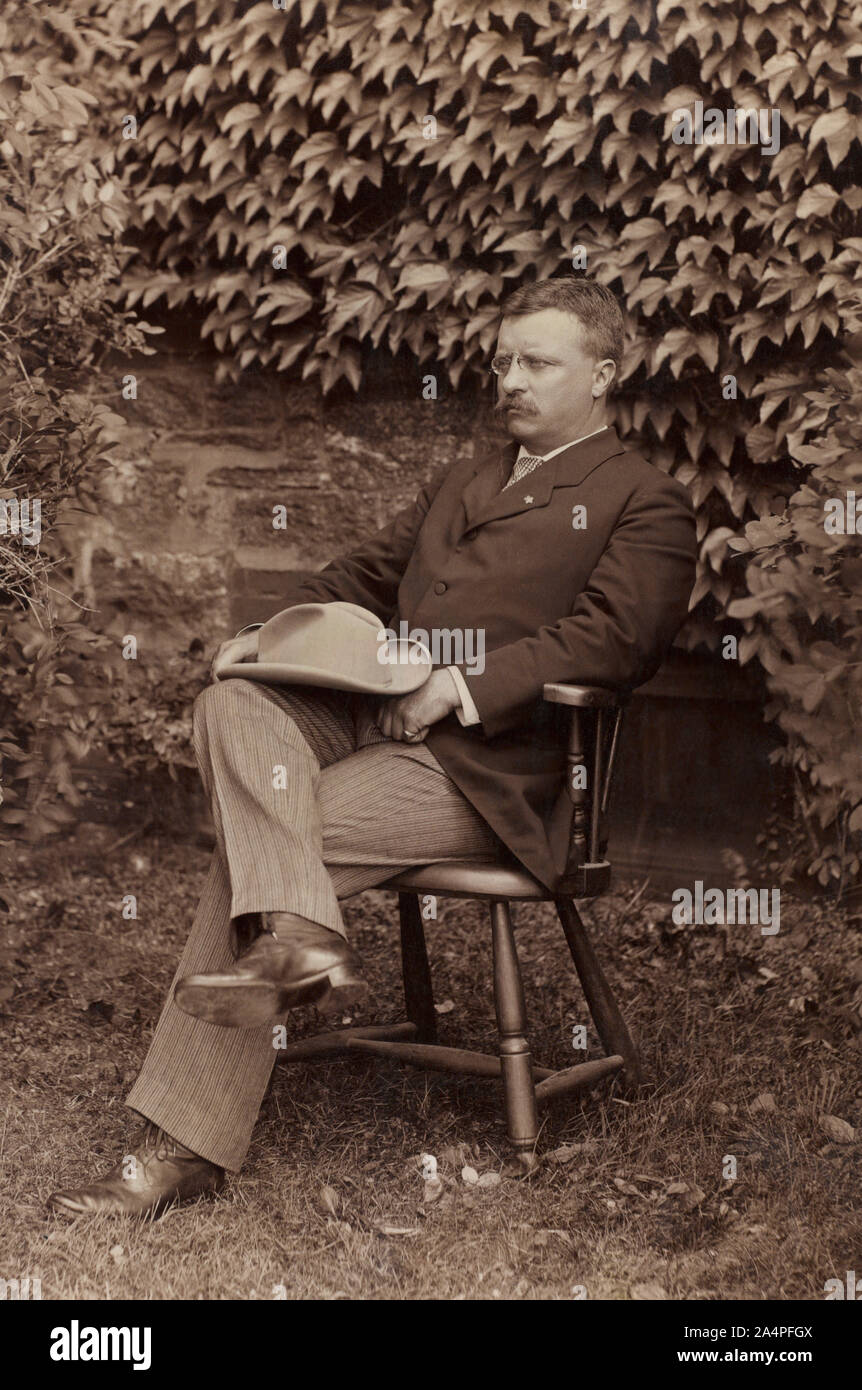 Theodore Roosevelt, Un portrait assis dans une chaise, Août 1900 Banque D'Images