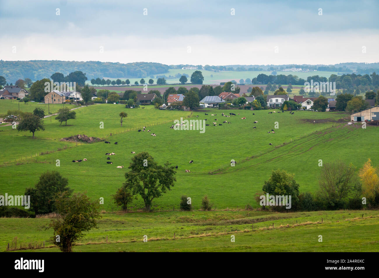 Beau paysage de collines dans le nord de la Belgique, à proximité de Moresnet et province Liège Banque D'Images