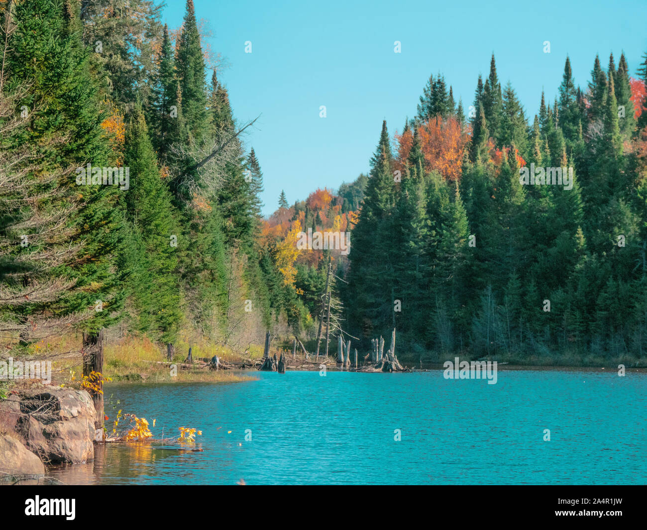 Lac canadien avec eau turquoise, paisible et calme Banque D'Images