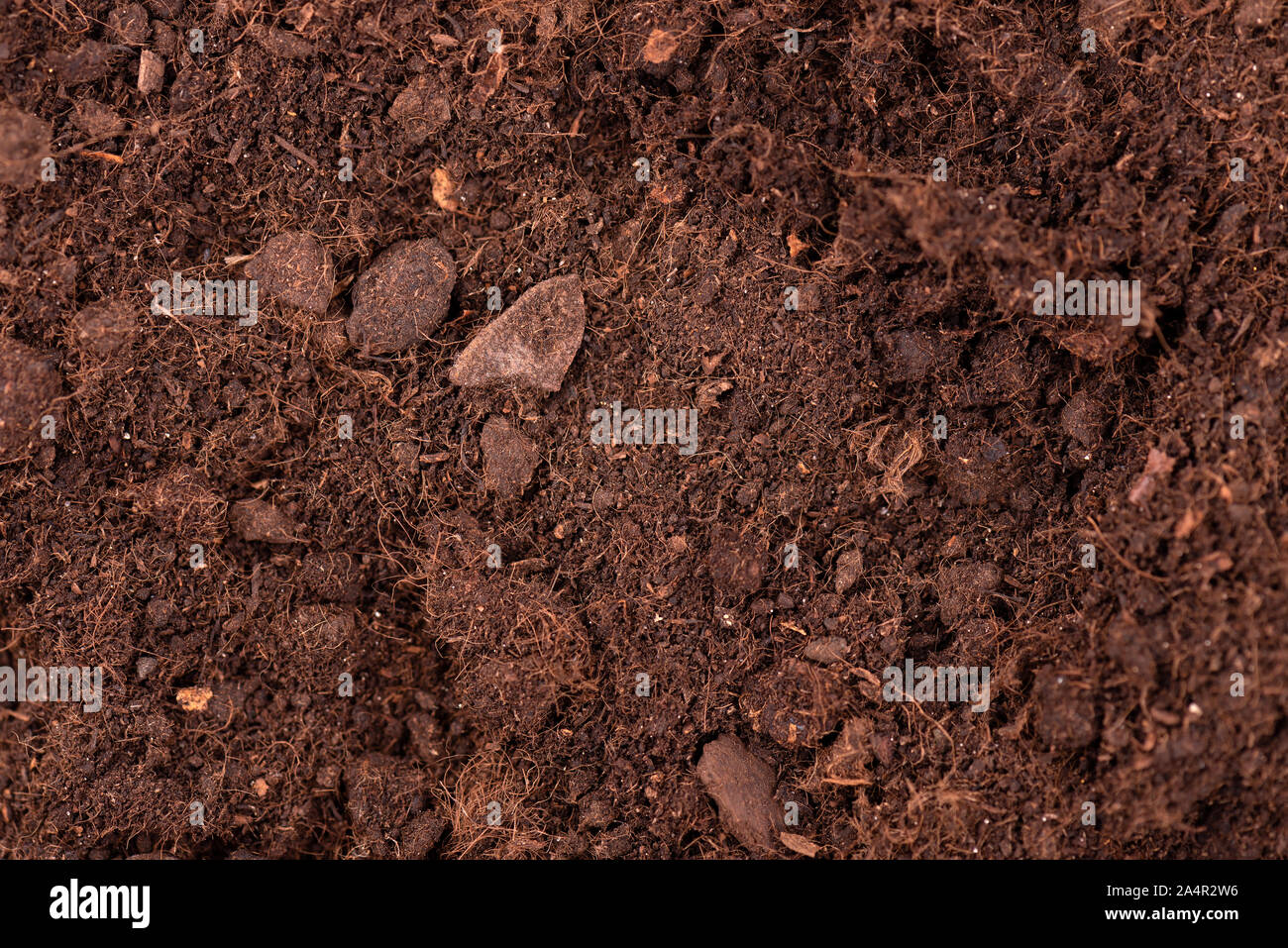 Arrière-plan de la texture du sol. Vue d'en haut. Sol fertile pour la culture de plantes et de fleurs. Banque D'Images