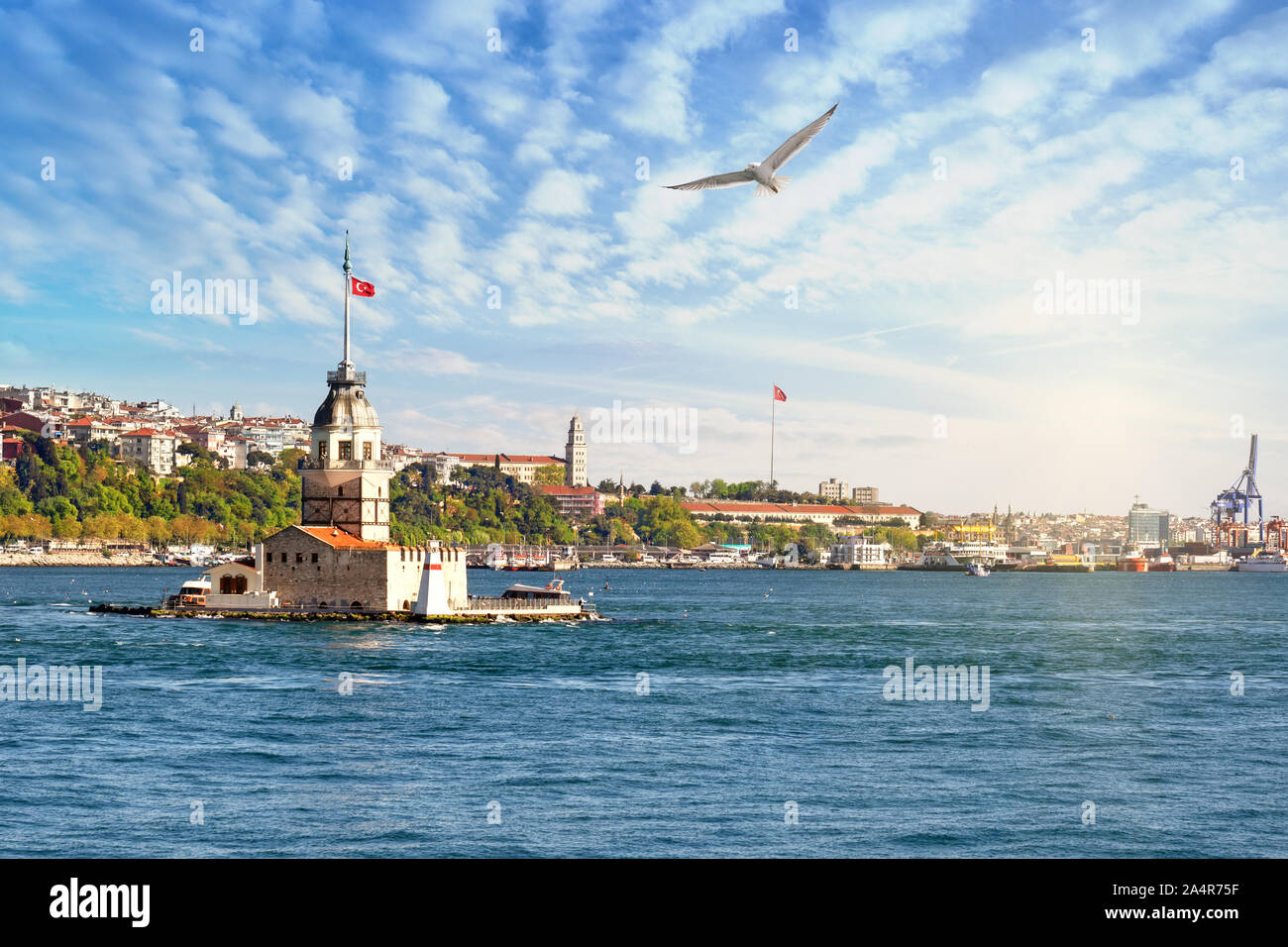 Tour dans le détroit du Bosphore sous le soleil clair. Mouette dans le ciel. Istanbul, Turquie Banque D'Images