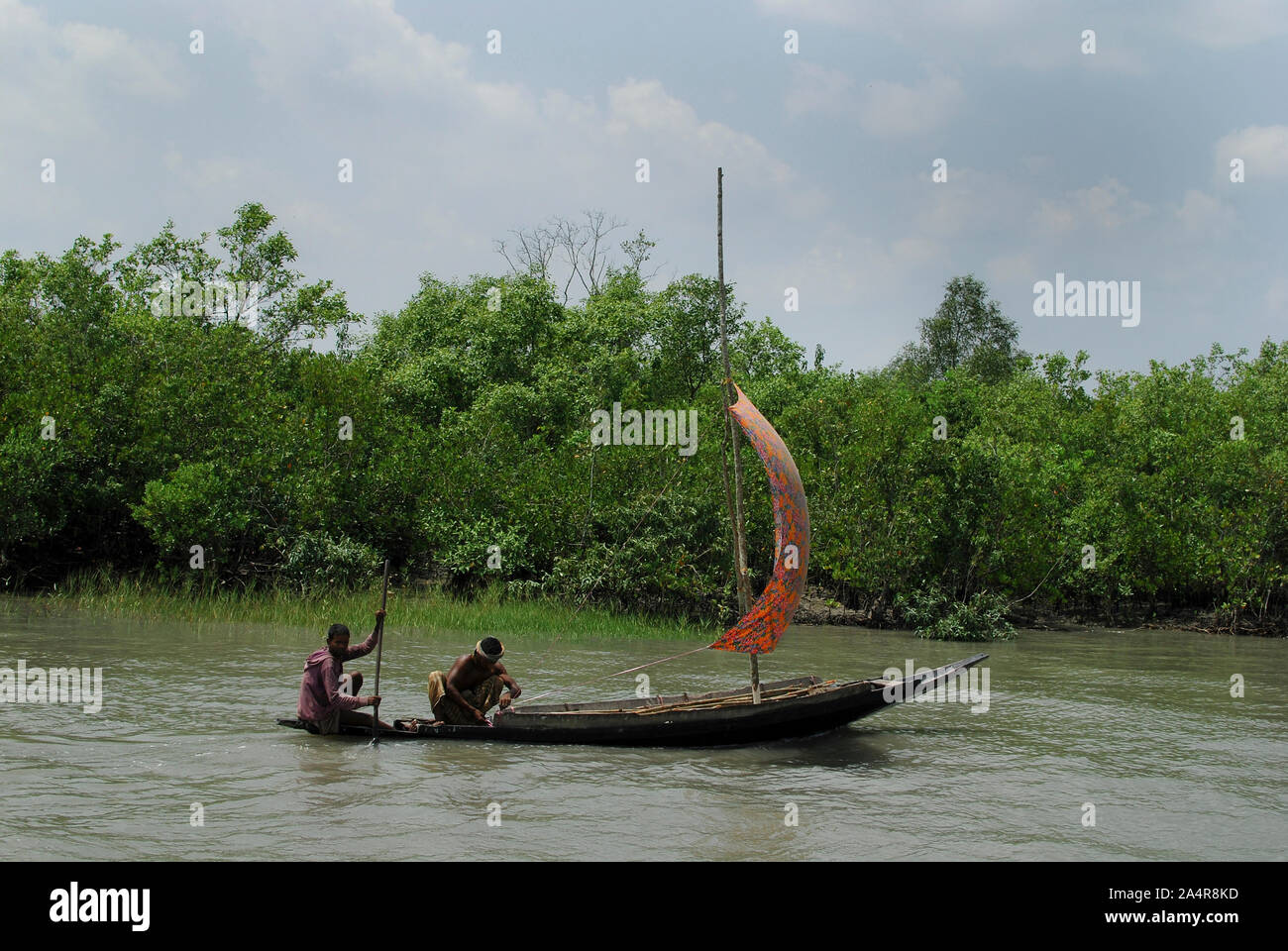 La pêche est l'un des principaux moyens de subsistance dans les Sundarbans, à Satkhira, Khulna, Bangladesh. Le 1 avril 2011. Site du patrimoine mondial de l'UNESCO, c'est la plus grande forêt de mangroves du monde avec une superficie d'environ 10 000 kilomètres carrés, dont 60 % se trouve au Bangladesh et le reste dans l'ouest du Bengale, en Inde. Les Sundarbans abrite le Royal tigre du Bengale et fournit un écosystème unique et une série d'habitats à une grande variété de faune. En plus du tigre, il y a 42 espèces de mammifères, 35 de reptiles et d'amphibiens, 270 espèces d'oiseaux, et plus de 120 espèces de poissons. Beaucoup de ces derniers sont Banque D'Images