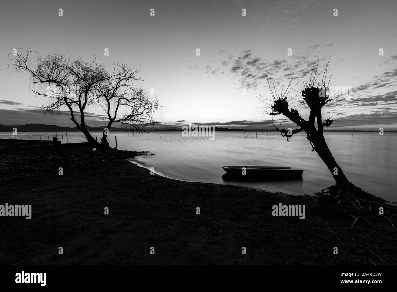 Un petit bateau dans le lac Trasimeno (Ombrie, Italie) au crépuscule, près d'un arbre squelettique Banque D'Images