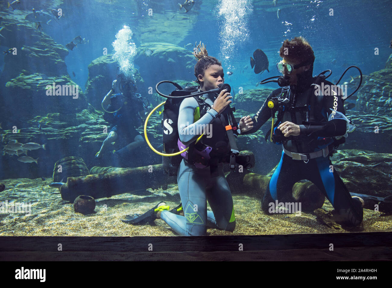 Les gens snorkeling à uShaka Marine World Banque D'Images