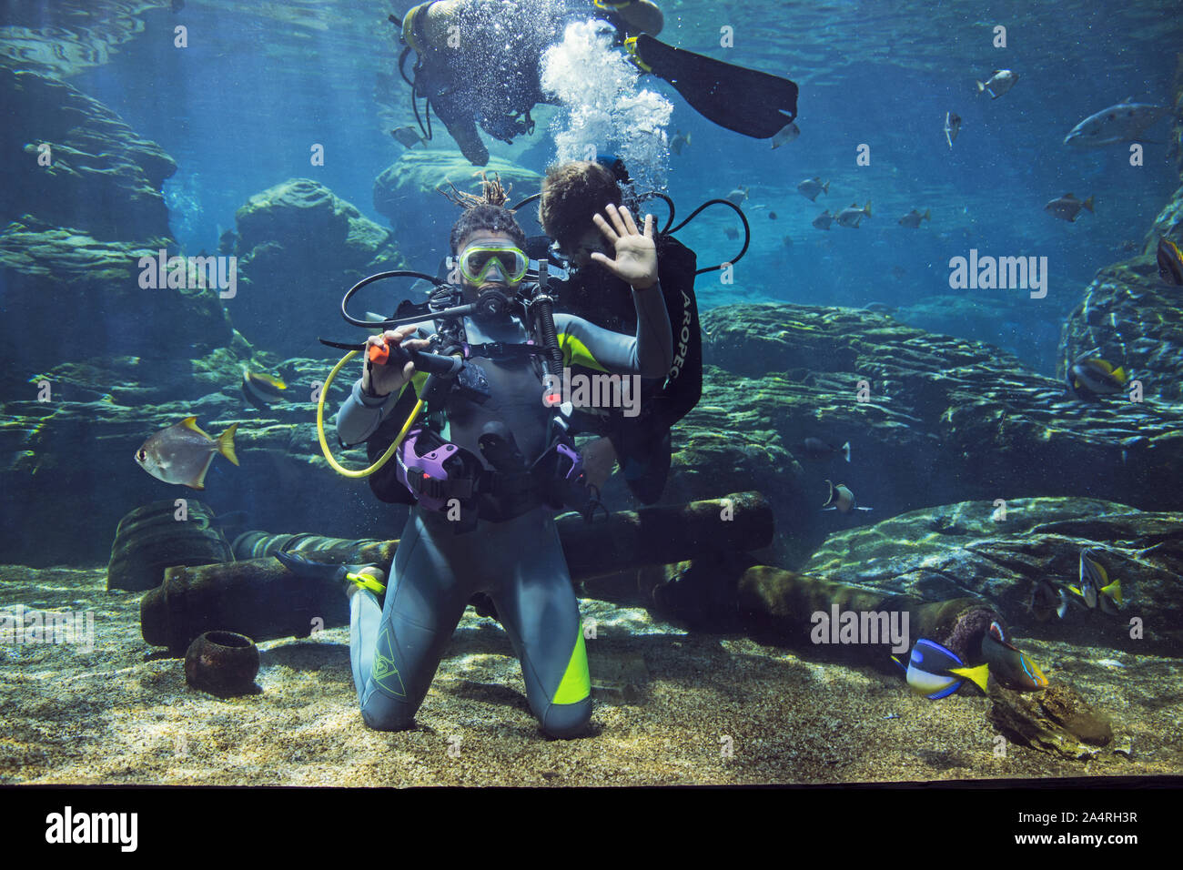 Les gens snorkeling à uShaka Marine World Banque D'Images