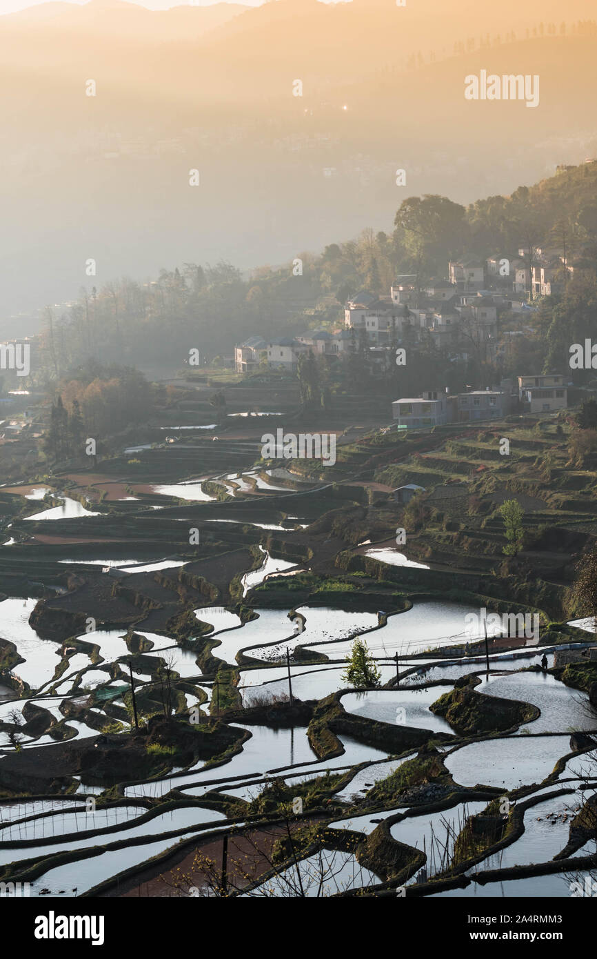 Petit village et les rizières en terrasses de YuanYang , Chine le matin Banque D'Images