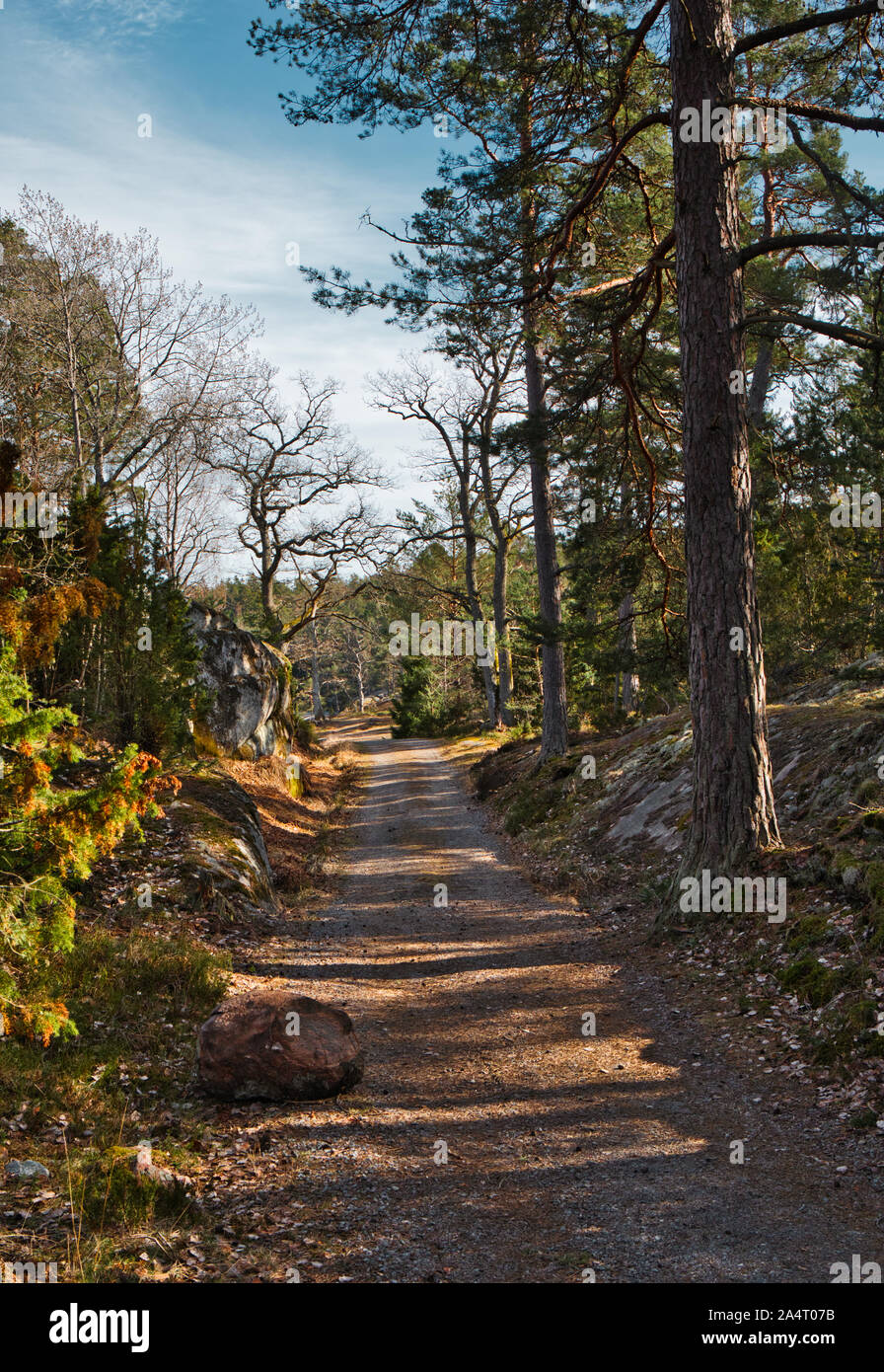 Sentier forestier à travers La Réserve naturelle de Bjorno (Bjorno Naturareservat), l'archipel de Stockholm, Suède Banque D'Images