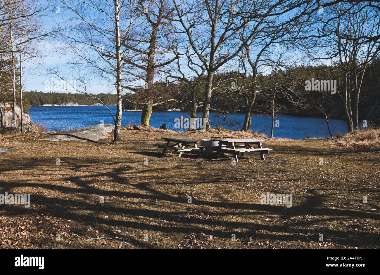 Table de pique-nique extérieure en bois par lac, Réserve naturelle de Bjorno (Bjorno Naturareservat), archipel de Stockholm, Suède Banque D'Images