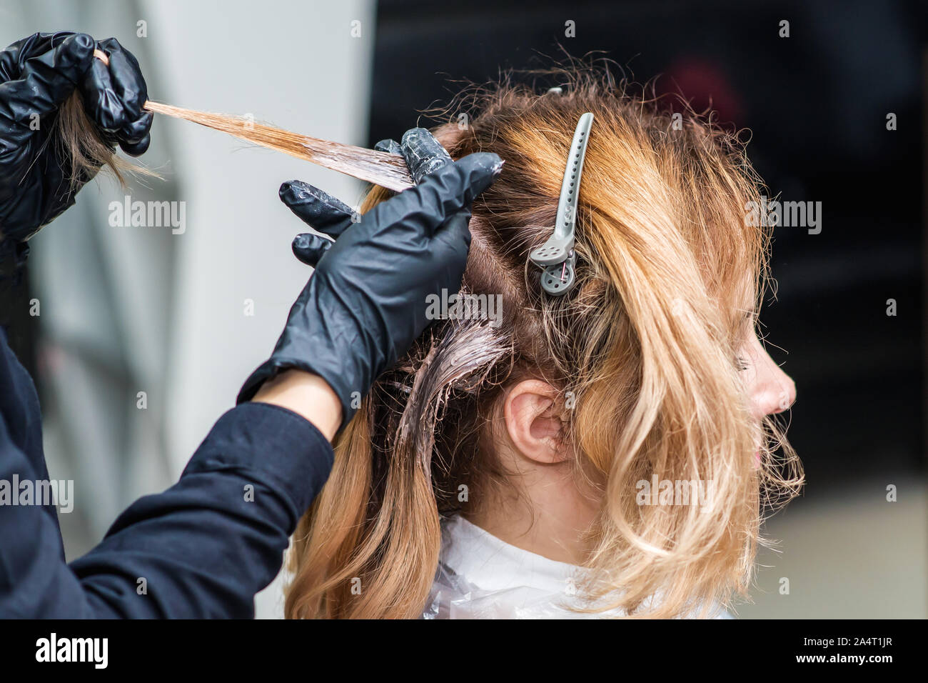 Close up procédé de teinture woman's hair at salon de beauté. Coloration de cheveux en cours. Femme de la teinture de poils. Banque D'Images