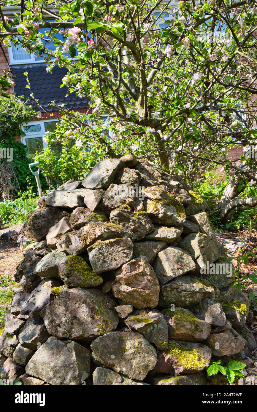 Cairn en pierre dans le jardin d'une maison de banlieue au printemps, Malvern, Worcestershire, Angleterre Banque D'Images
