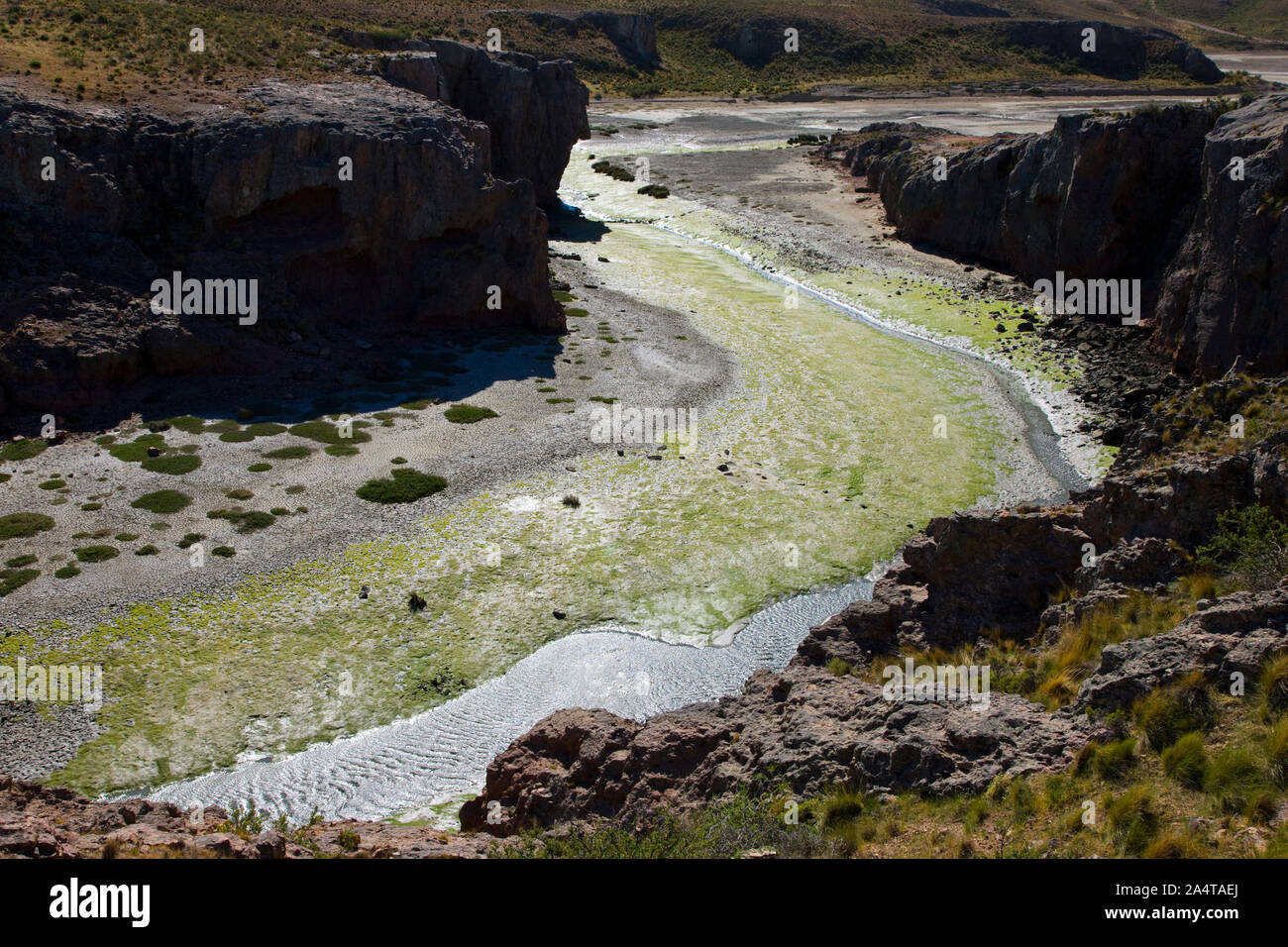 Cañadon en la Reserva Natural Ria Deseado, Puerto Deseado, Patagonie, Argentine Banque D'Images