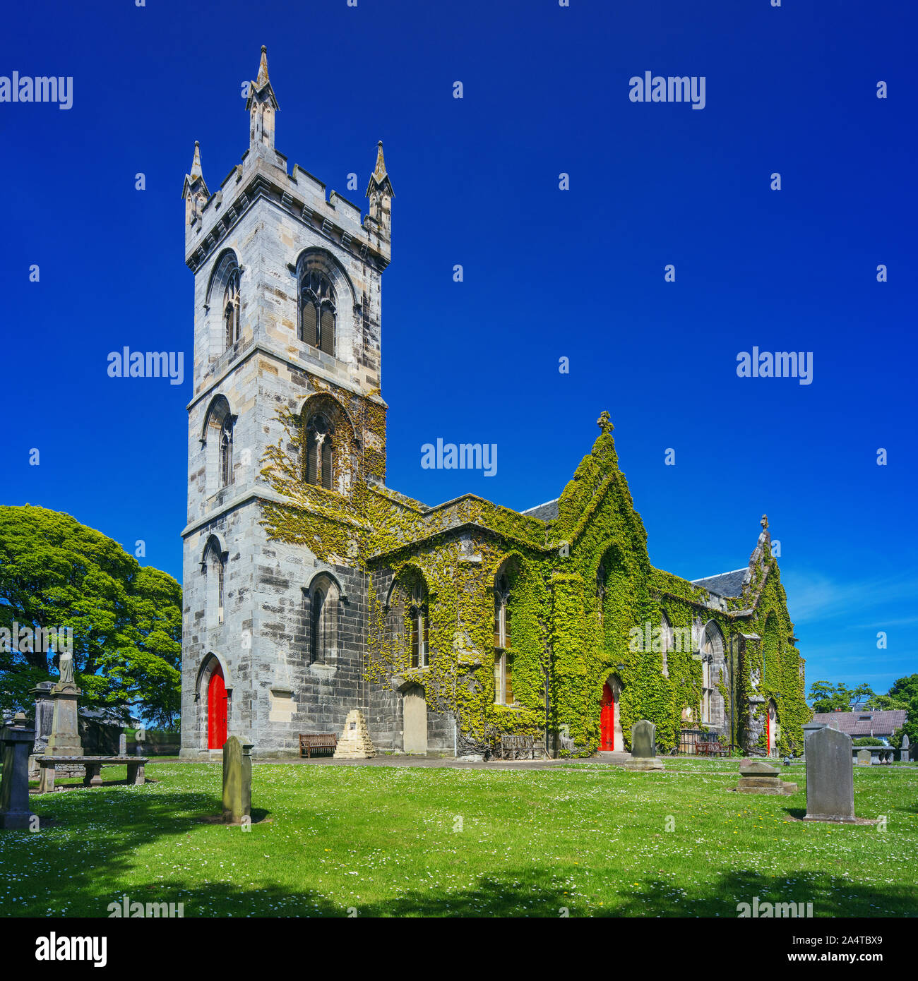 Liberton Kirk au printemps - plus connu pour lorsque le célèbre vine devient rouge vif à l'automne. Banque D'Images