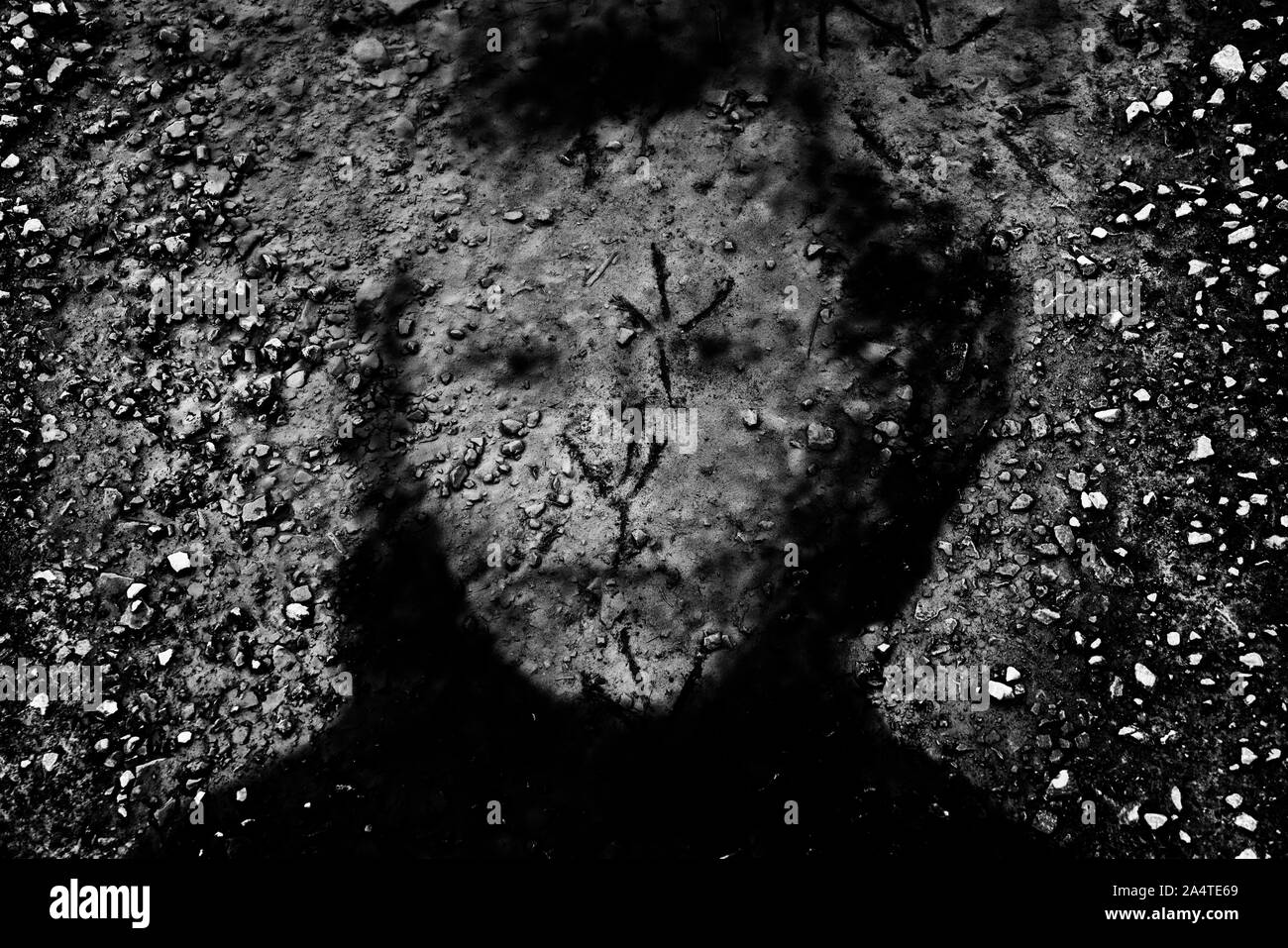 Visage démoniaque Banque D'Images