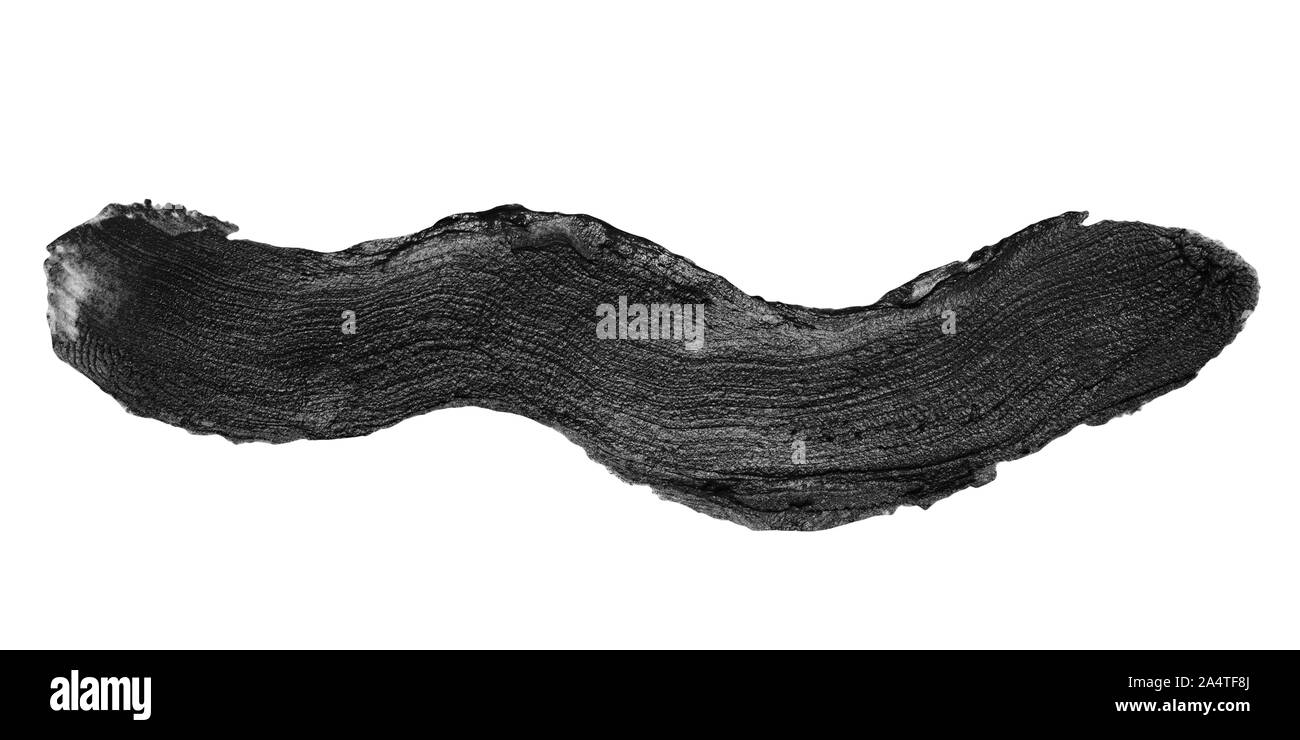 Trait de peinture noir isolé sur fond blanc Banque D'Images