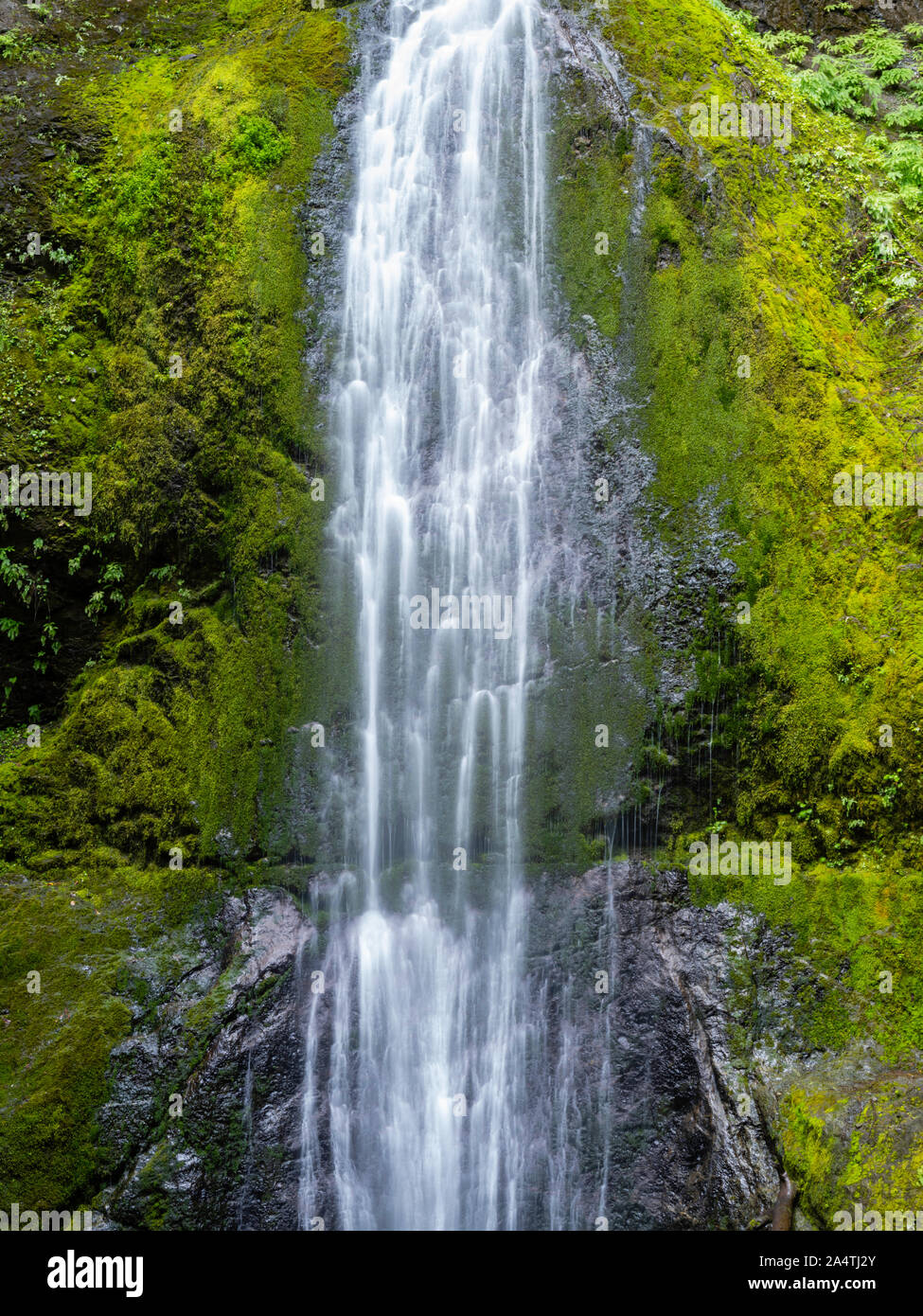 Une chute sur l'image à l'Escalier de l'Olympic National Park, Washington, USA. Banque D'Images