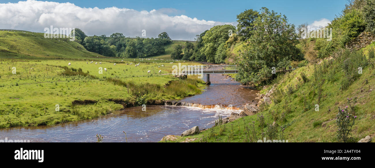 Mellwaters Sleightholme Beck, de l'Est, l'été, Bowes UK Panorama Banque D'Images