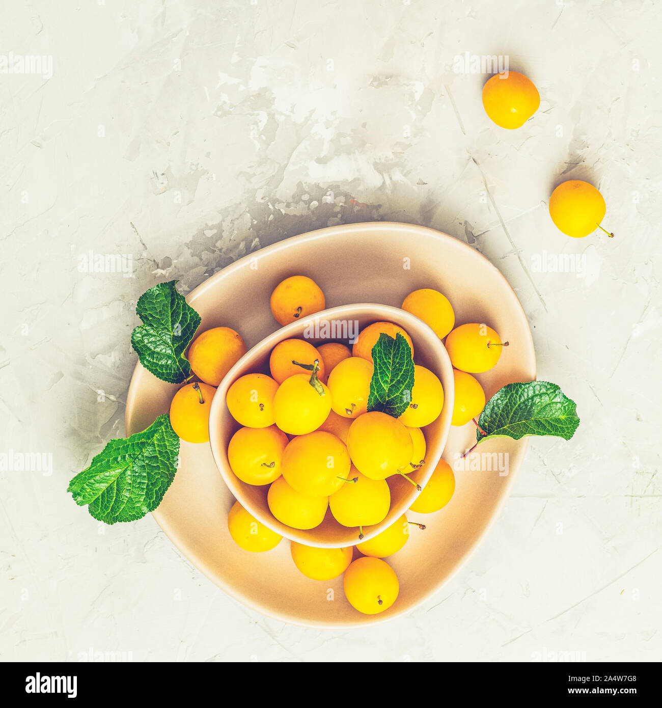 Modèle d'été créatif à base de produits frais dans les prunes cerises jaunes bol rose sur fond de béton gris. Concept minimal de fruits. Mise à plat. Banque D'Images