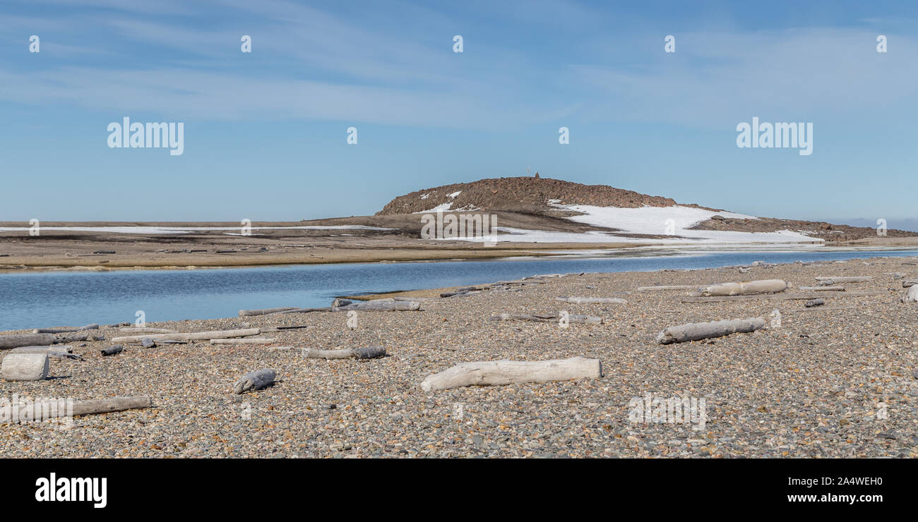 Driftwood de Sibérie, la Russie s'est échoué sur la plage à dans Eolusneset Sorgfjorden, Banque D'Images