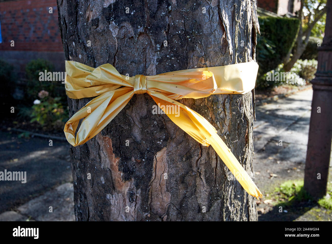 Ruban jaune attaché autour d'un arbre en Port Sunlight England UK Banque D'Images