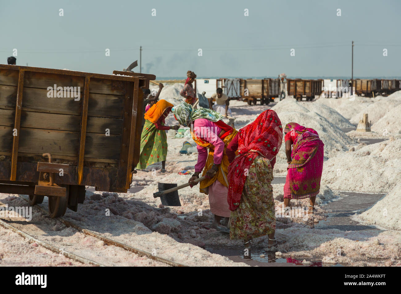 Femme indienne travaille sur la mine de sel Banque D'Images