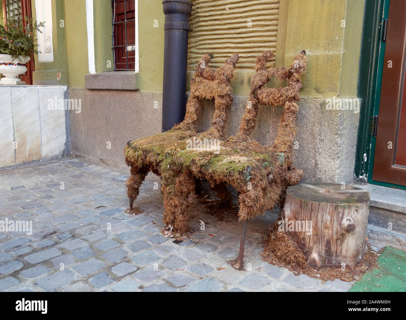 Chaises Moss à l'extérieur de l'hôtel Coroana, Brasov, en Transylvanie, Roumanie. Banque D'Images