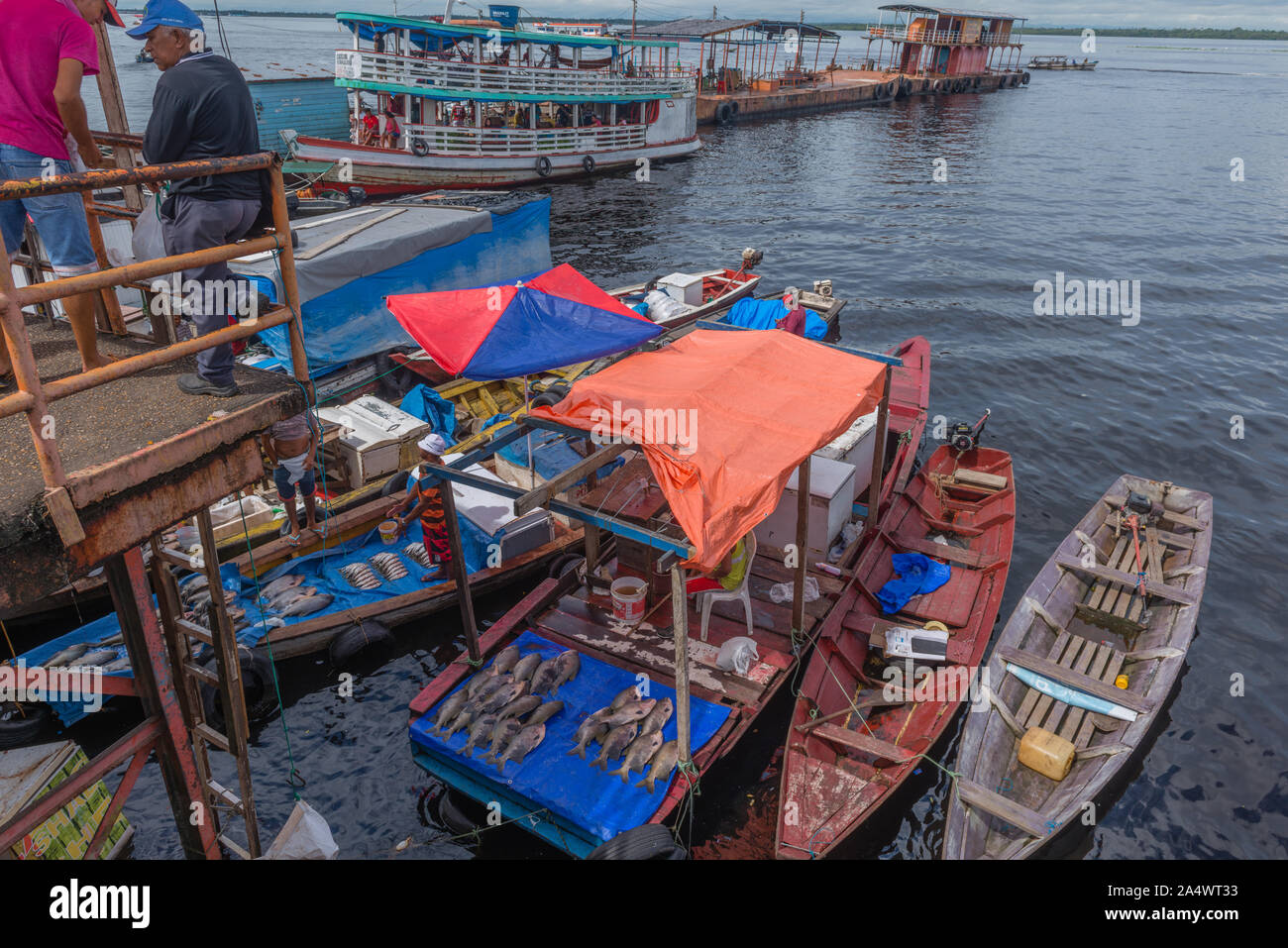 La pêche à chabor à Porto Flutante ou port flottant, ouvert les bateaux de pêche avec les propriétaires de vendre du poisson frais, Manaus, l'Amazone, Brésil, Amérique Latine Banque D'Images