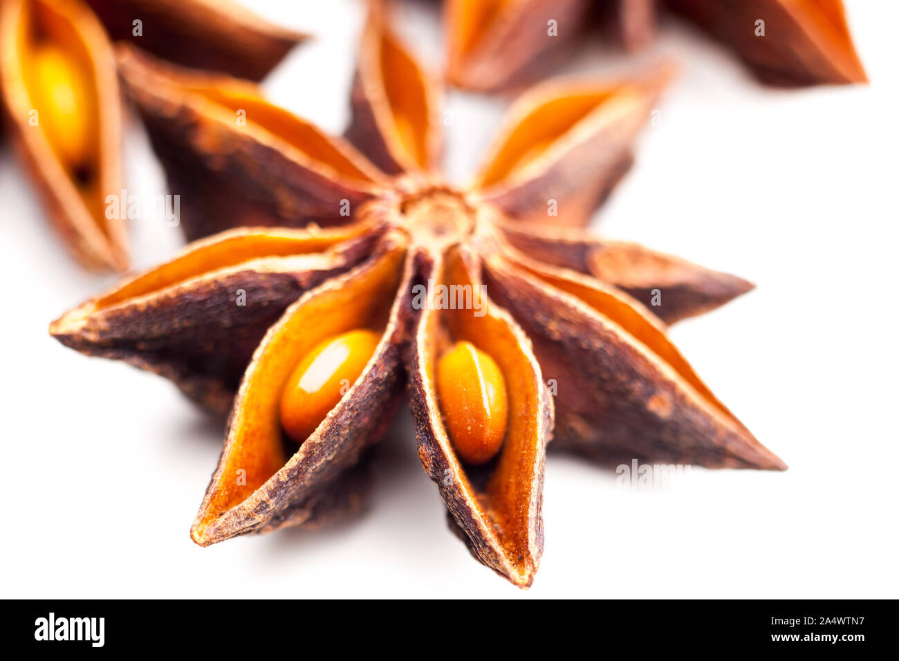 Détails d'un anis étoilé isolé sur fond blanc Banque D'Images